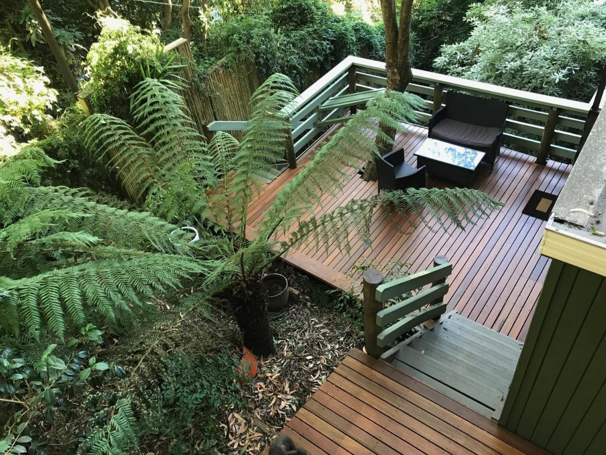 Sassafras Treehouse Private Home In The Dandenong Ranges, Victoria Exterior photo