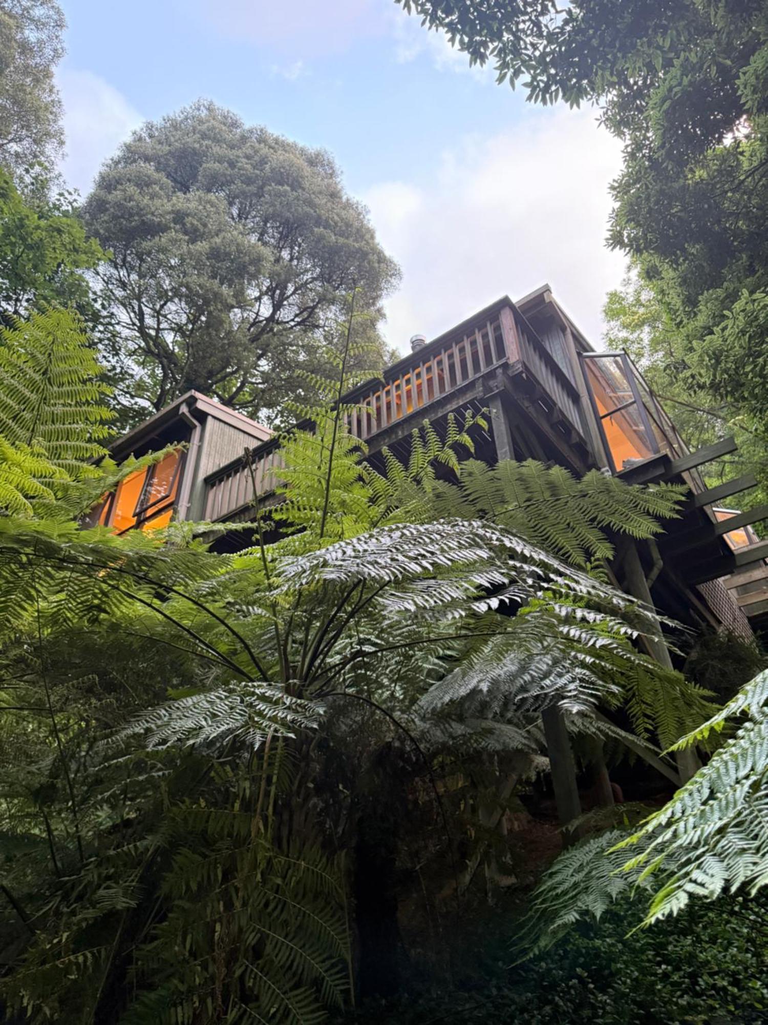 Sassafras Treehouse Private Home In The Dandenong Ranges, Victoria Exterior photo